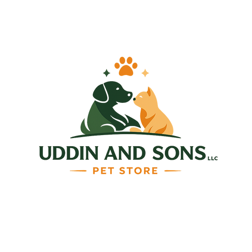 UDDIN AND SONS LLC